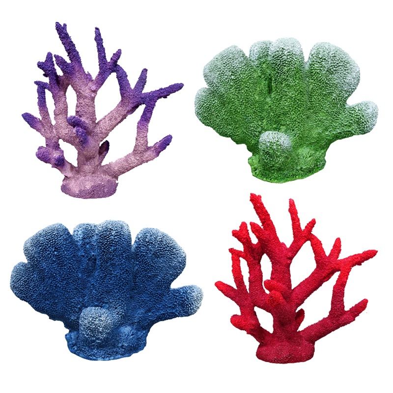 Aquamate – Corals (Medium) Medium