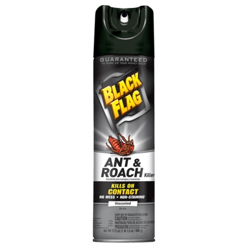 BLACK FLAG ANT & ROACH KILLER UNSCENTED SPRAY 17.5 oz