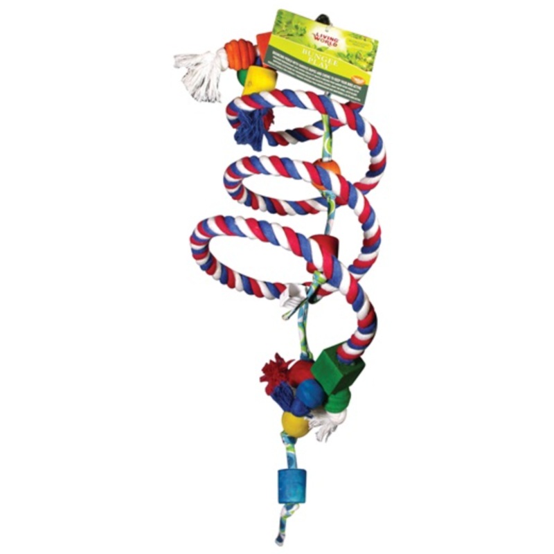 Bungee Play