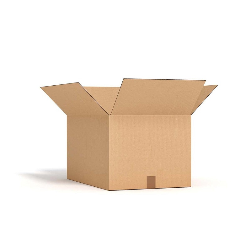 Tortoise Vivarium Setup – Gold Oak