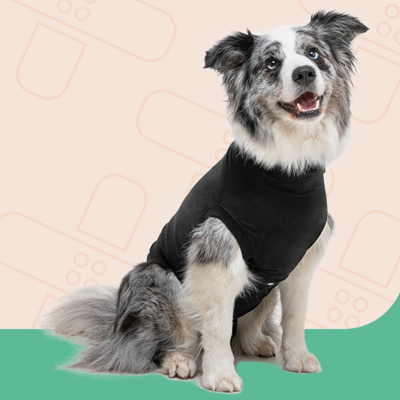 Suitical Recovery Suit Dog – Small+ Black