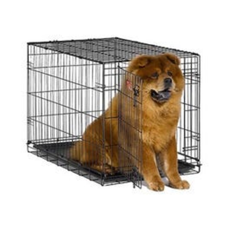 Dog Training Crate, Black, 36″L x 23″W x 25″H